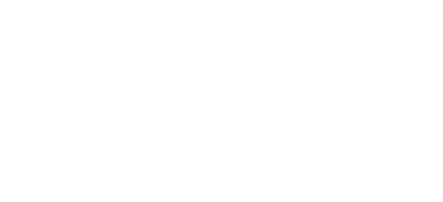 partners